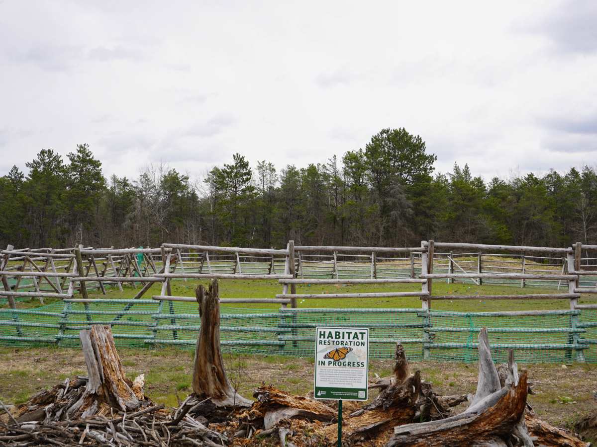 Deyarmond Valley Road photo 3