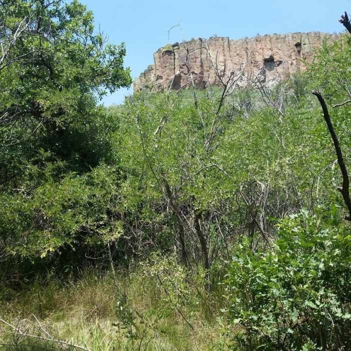 Near Ponderosa Ridge Trail