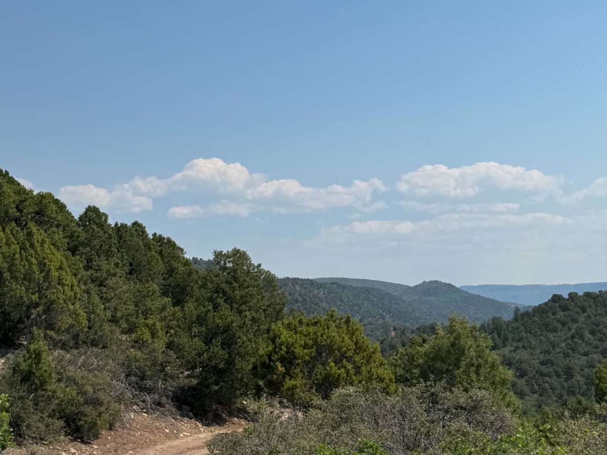 Cedar Mountain West photo 2