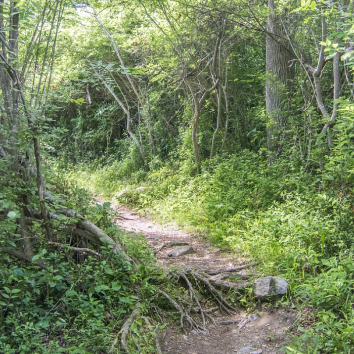 Near Lakeville Ironworks Trail
