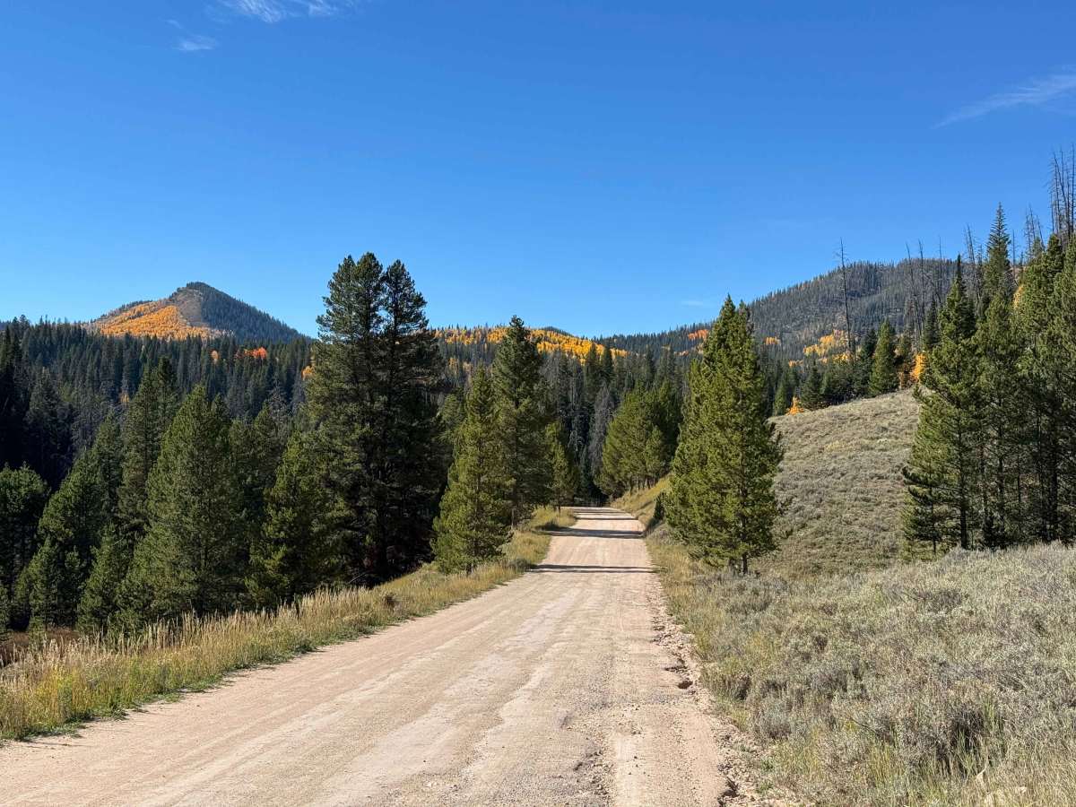 Hahns Peak Lake Campground Road photo 4