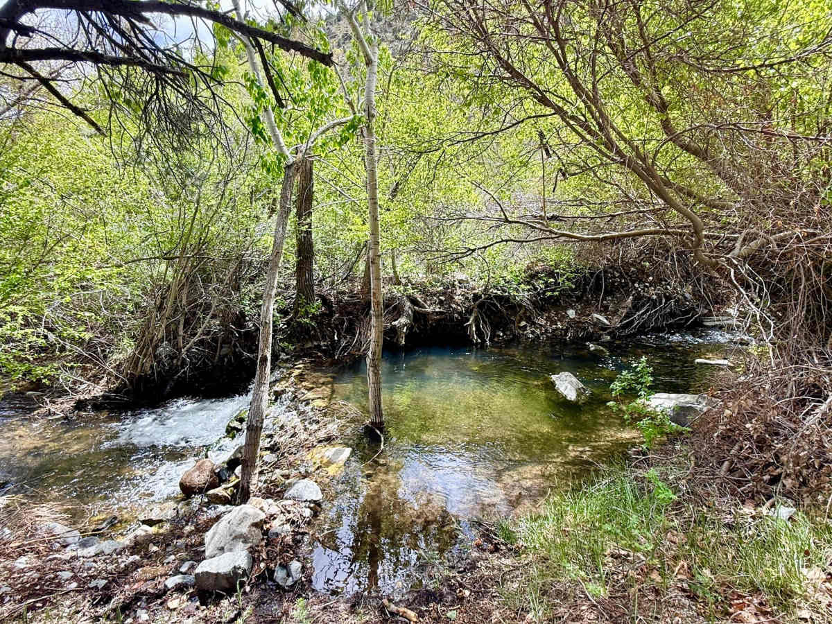 North Twin River - FS 43282 photo 2
