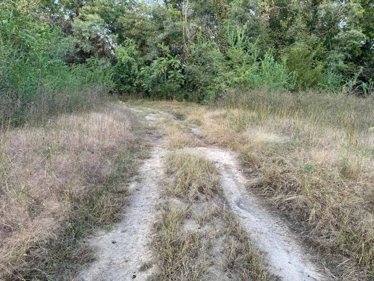Bronco Bend photo 2