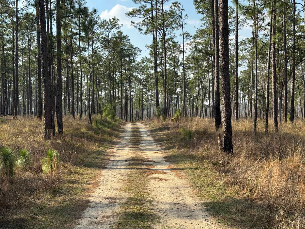 Frog Pond Road photo 2