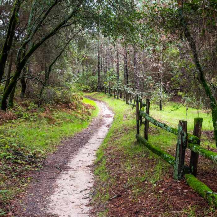Near Graham Hill Trail Near Graham Hill Trail