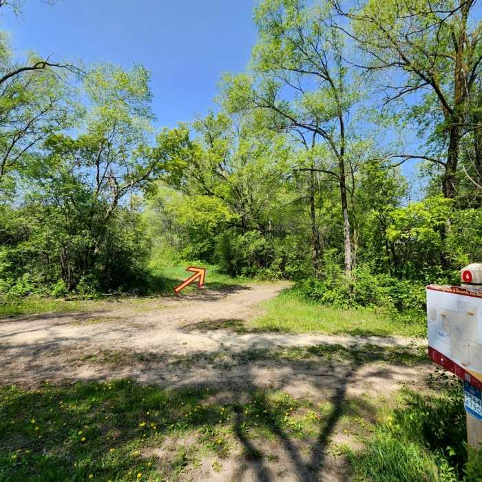 Near Wetland Loop Trail