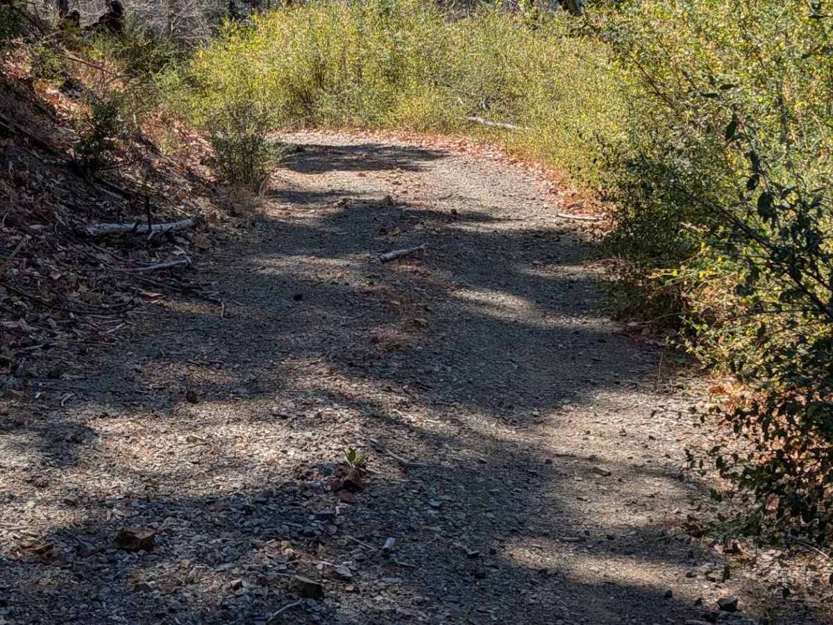 Hayshed Creek Road - FS 4N05 photo 5