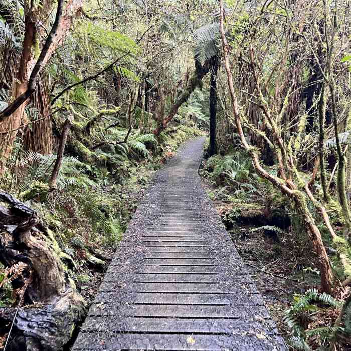 Near McLean Falls Walk