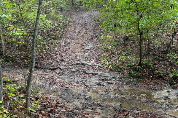 Creek Crossing