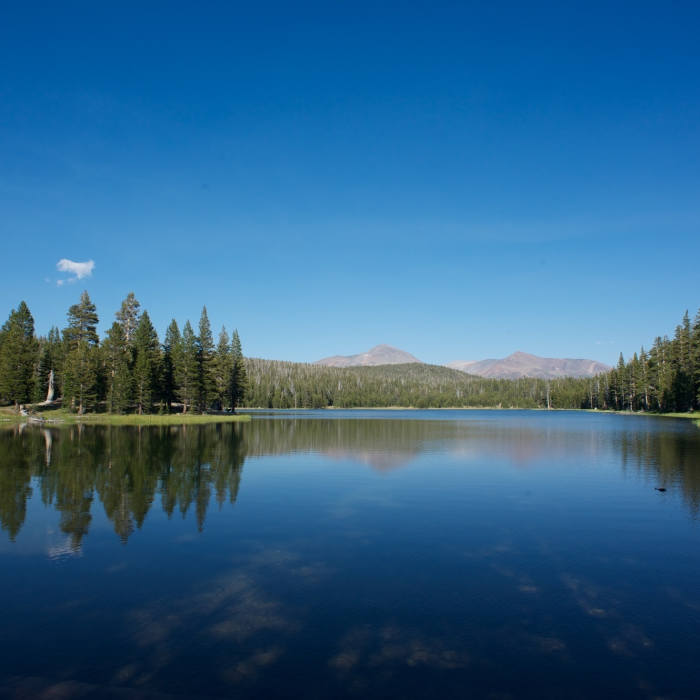 Near Dog Lake Trail