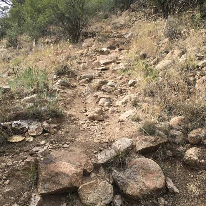 Near The Dragon Trail