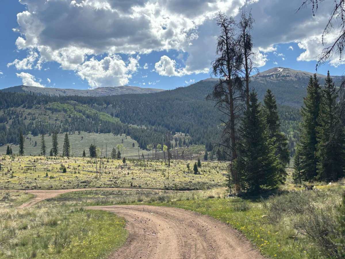 Cow Creek Connector Road photo 3