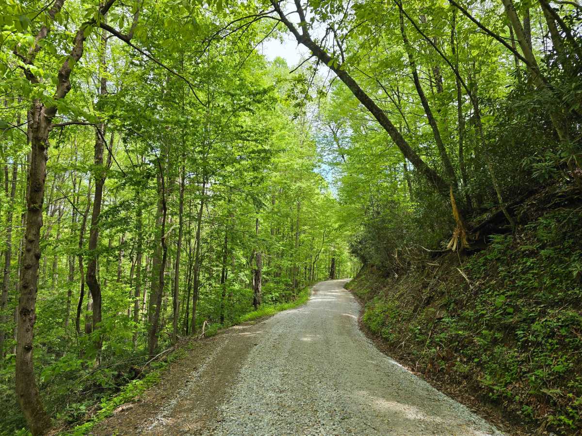 Atoah Gap trail photo