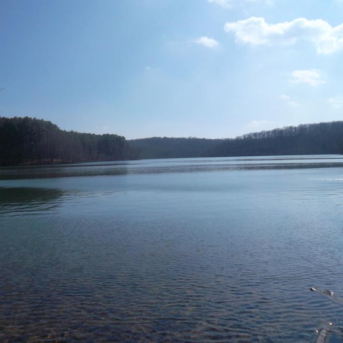 Near Morgan Run Loop