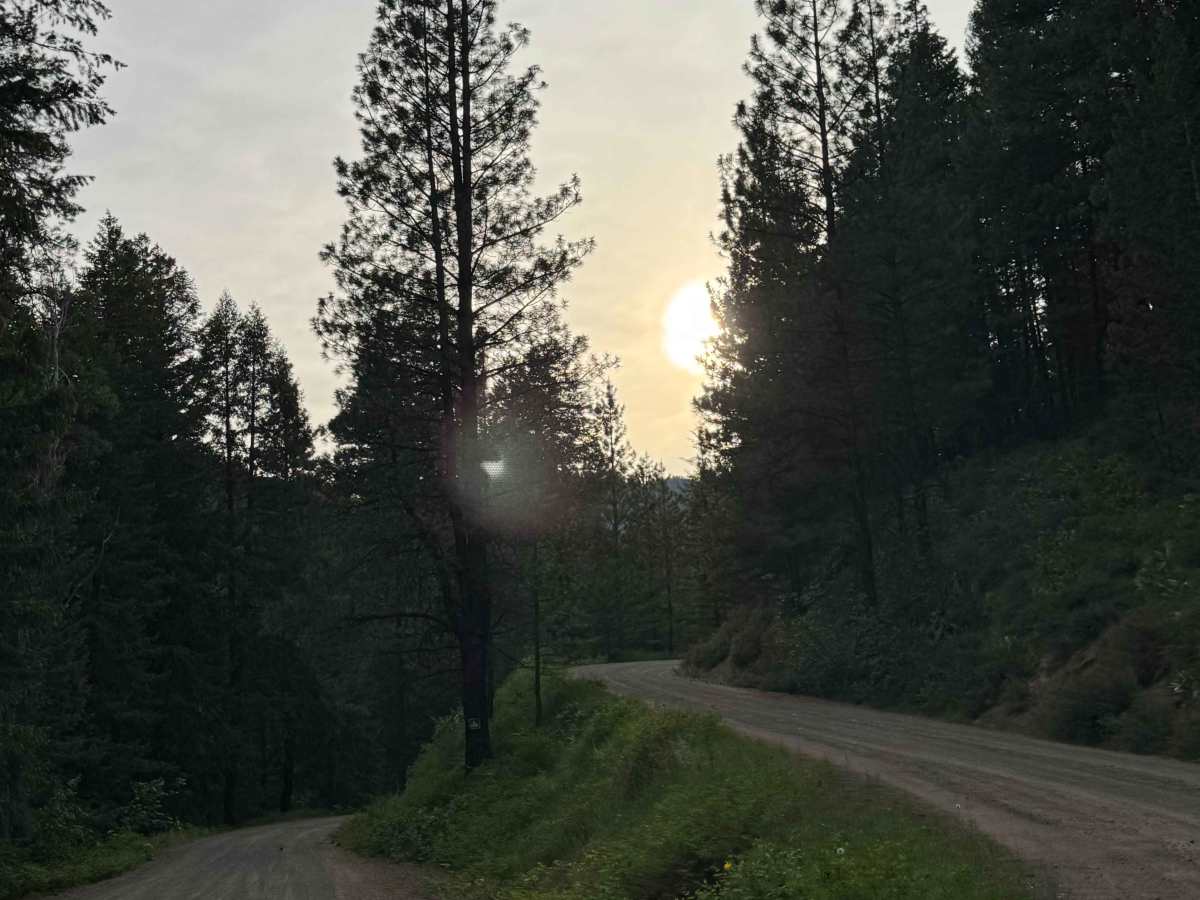 Cub Creek Road photo 4
