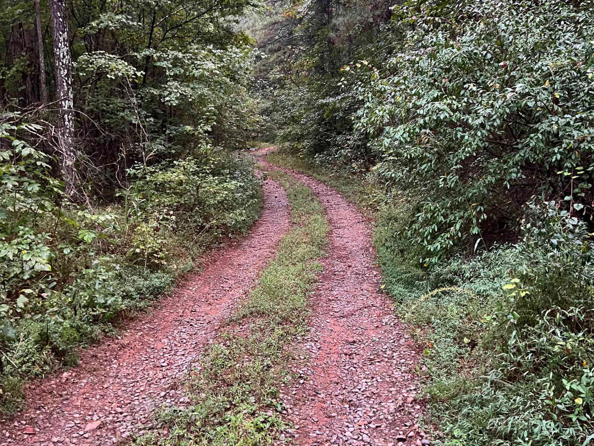 Turkey Creek - FS 212B photo 3