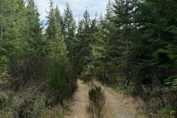 Plant Cave Trail