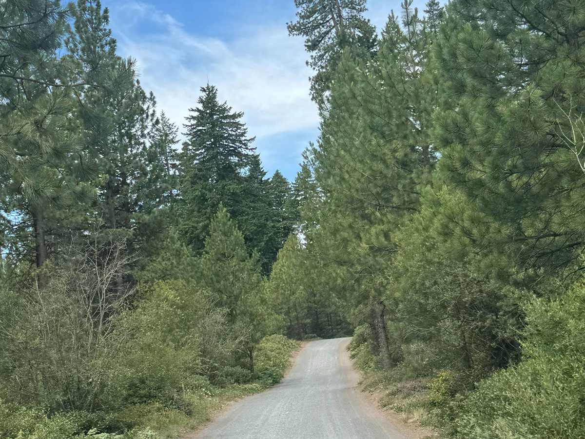 Dark Lake - FS 2066-600 photo 3