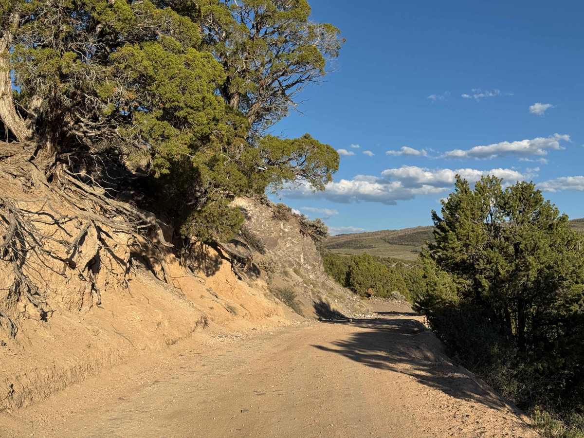 Bellyache Road - BLM 21 photo 2