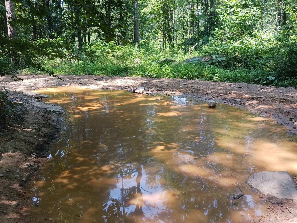 Gobbler Ridge - Rock Run Recreation Area photo 4