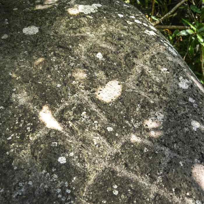 Near Kamananui Valley Road Near Kamananui Valley Road