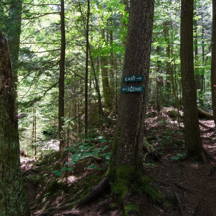 Near Gill Brook Trail