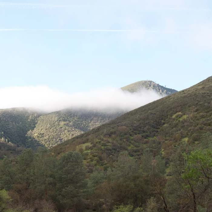 Near South Wilderness Trail