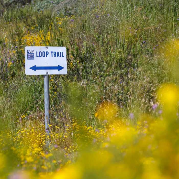 Near Wildflower Trail