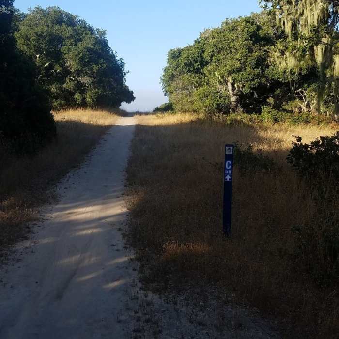 Near Jerry Smith Corridor