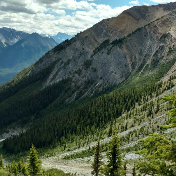 Near Cory & Edith Passes