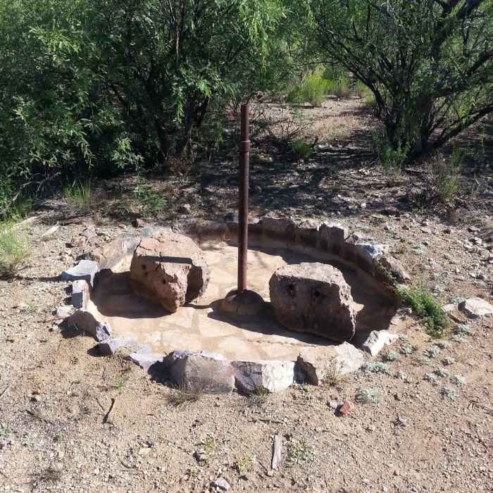 Near Arivaca Creek Loop and Mustang Trail