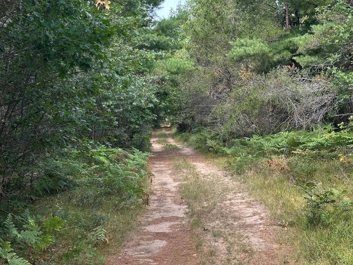 Pond Road  trail photo