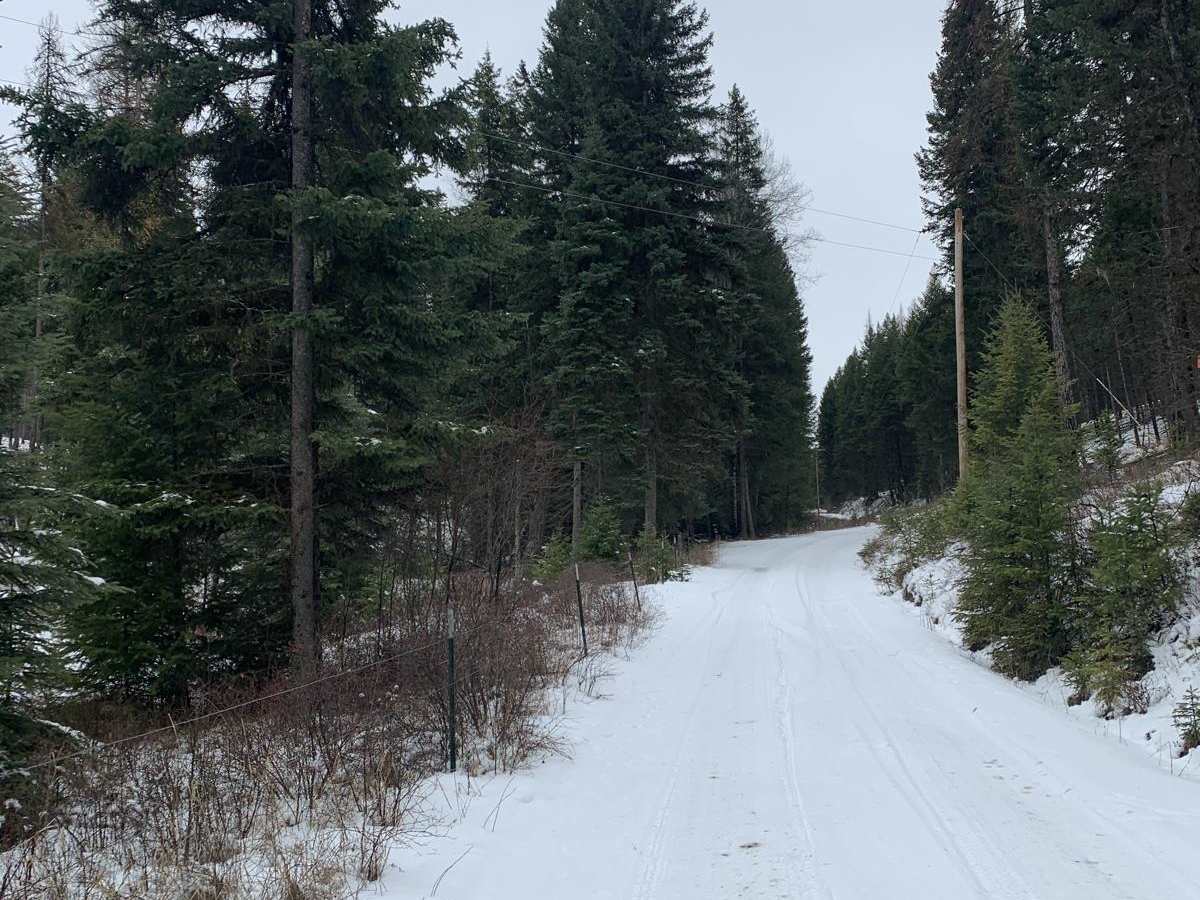 Robert's Mountain Trail photo 4