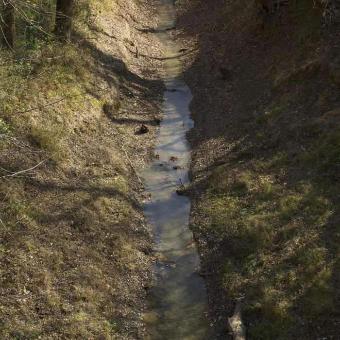 Near Echo River Spring Trail