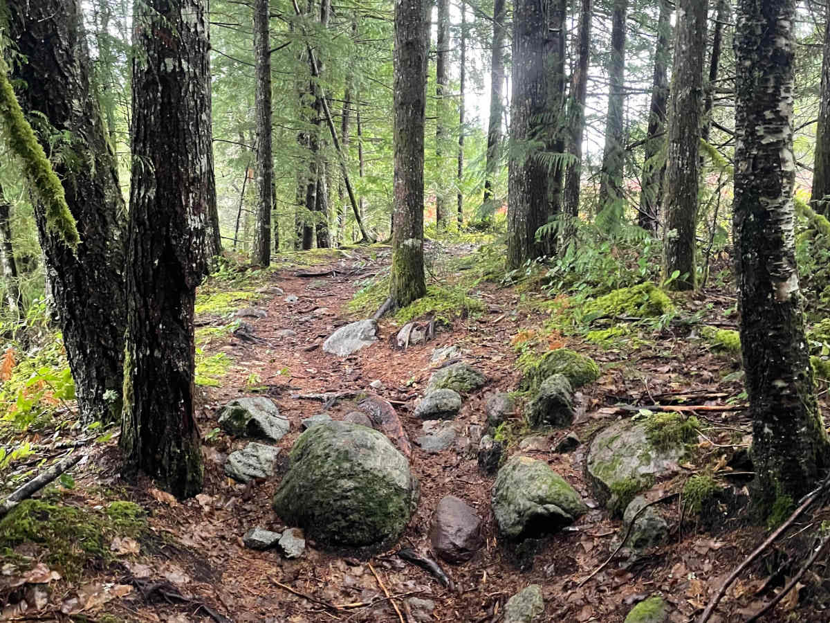 Electro trail photo