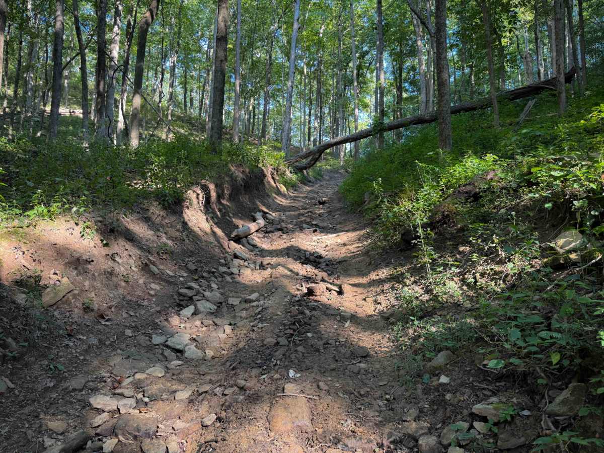 Dry Fork Trail  photo 2