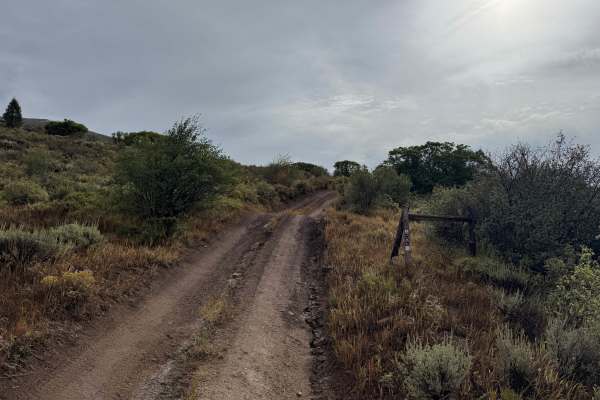 Freeman Powerline Road