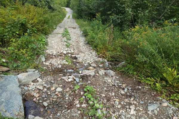 Rat Tail Brook Trail
