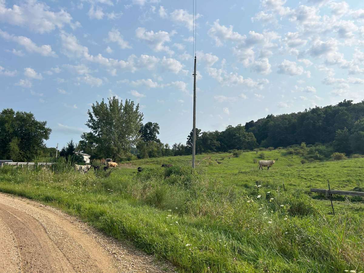 Icehouse Road photo 4