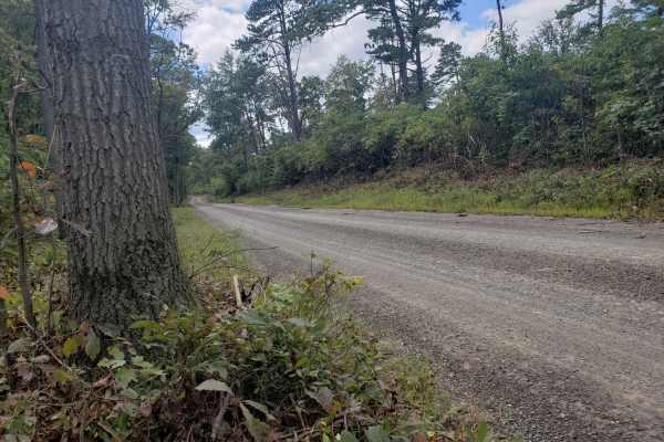 Michaux Ridge Road
