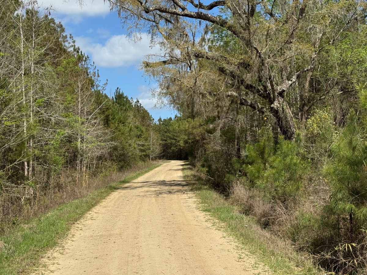 Blount's Crossing photo 5