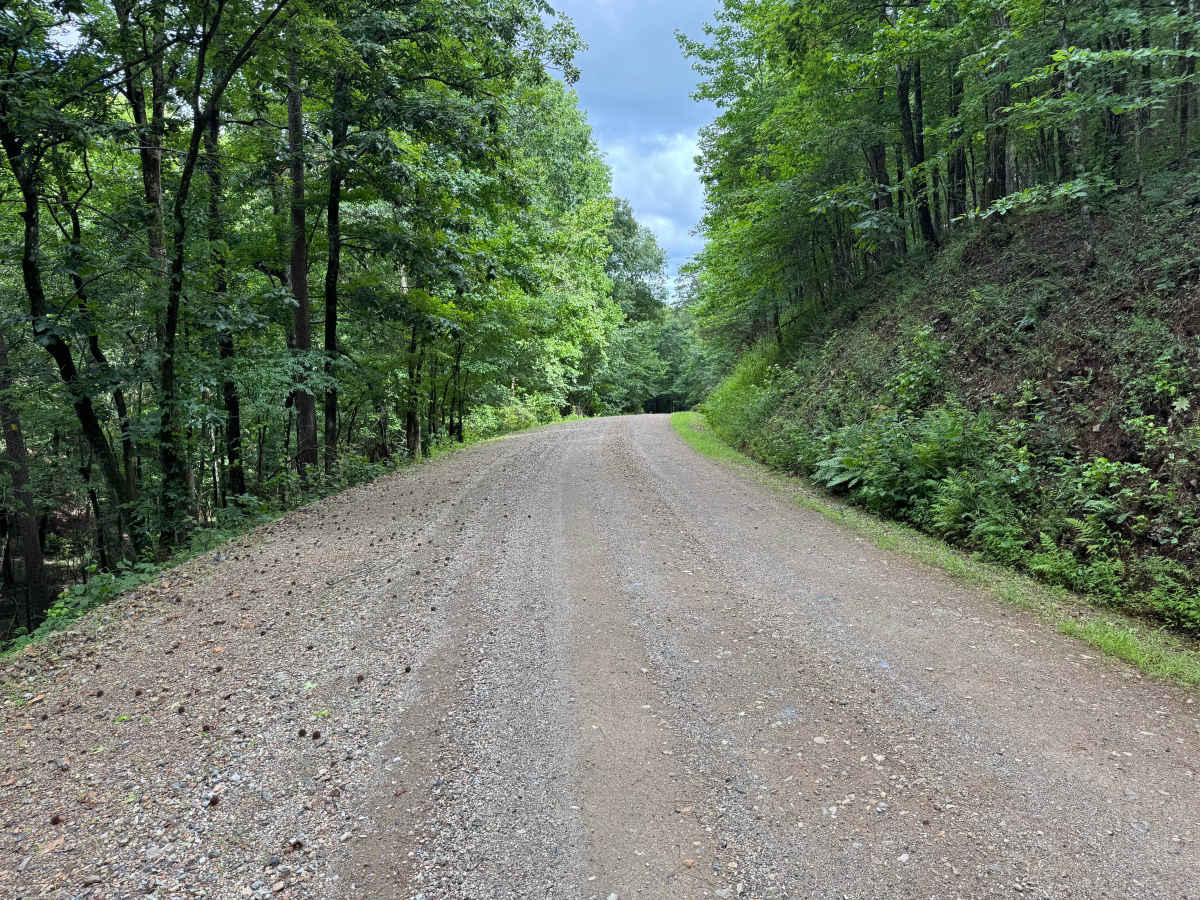 Hee Gap photo 2