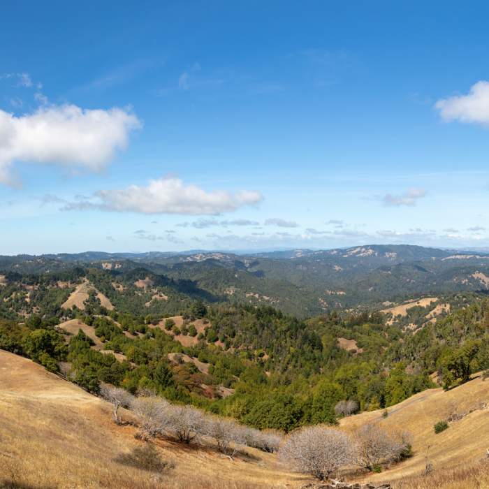 Near Sea to Sky Trail