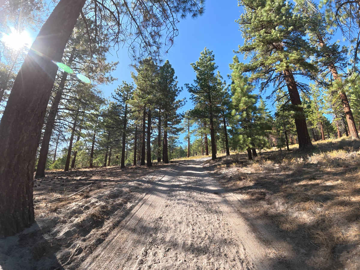 Big Springs Cutoff - FS 2S38 photo 6