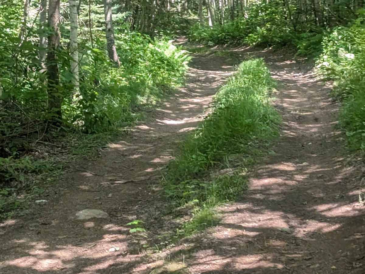 Sweeney Road Descent trail photo