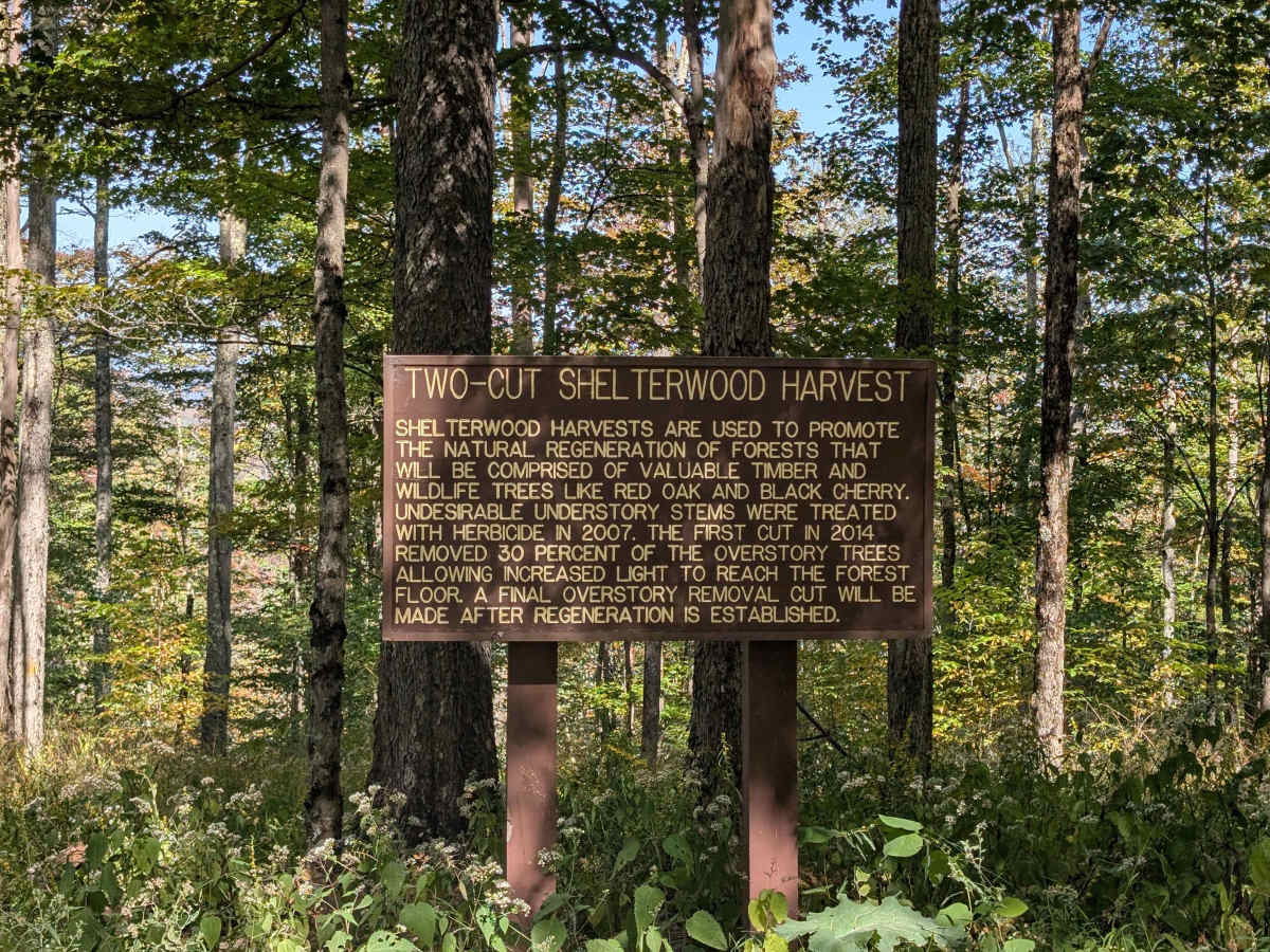 Laurel Fork Overlook photo 5