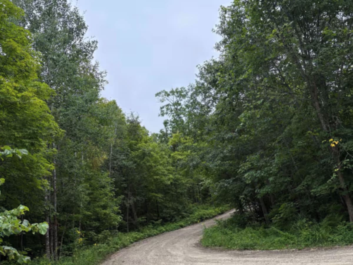 Waptus-Mckenzie Lake Road trail photo