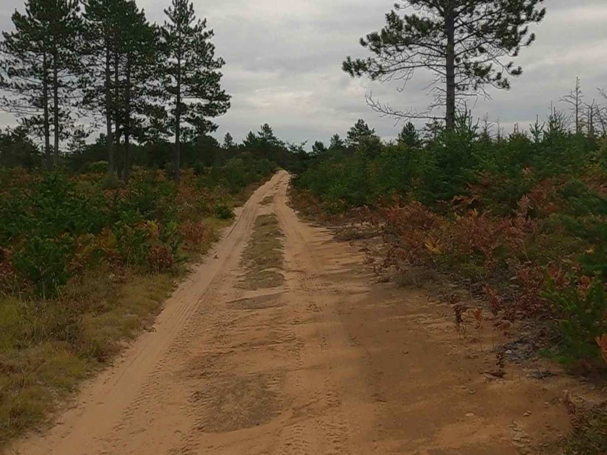 Flat Land - FSR 3036 photo 5