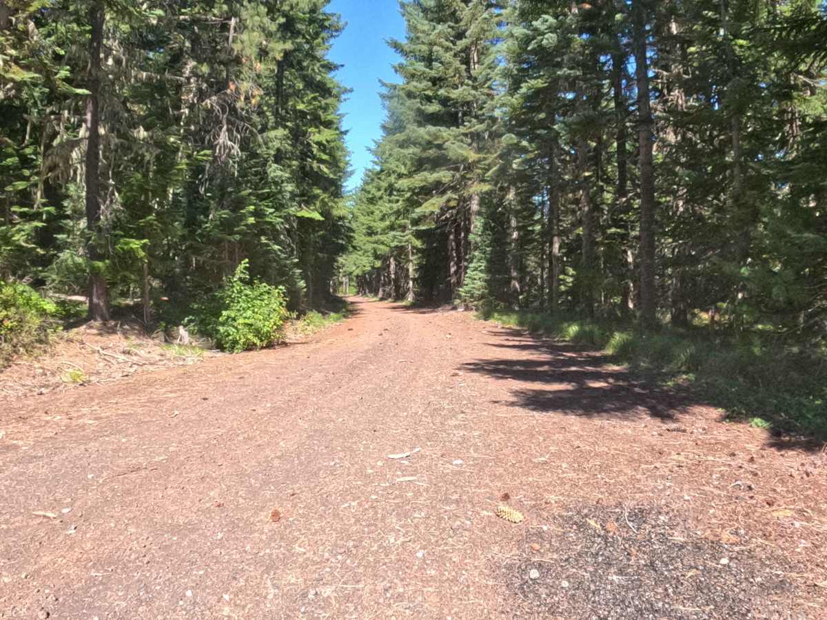 Section 3 Road - FS 2067525  photo 4