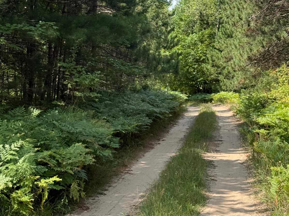 3rd Creek Trail photo 4